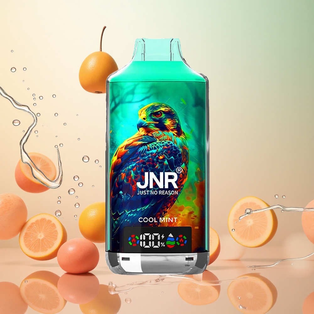 JNR Falcon X 18000 Puffs 24ml Menta Refrescante Pantalla Digital