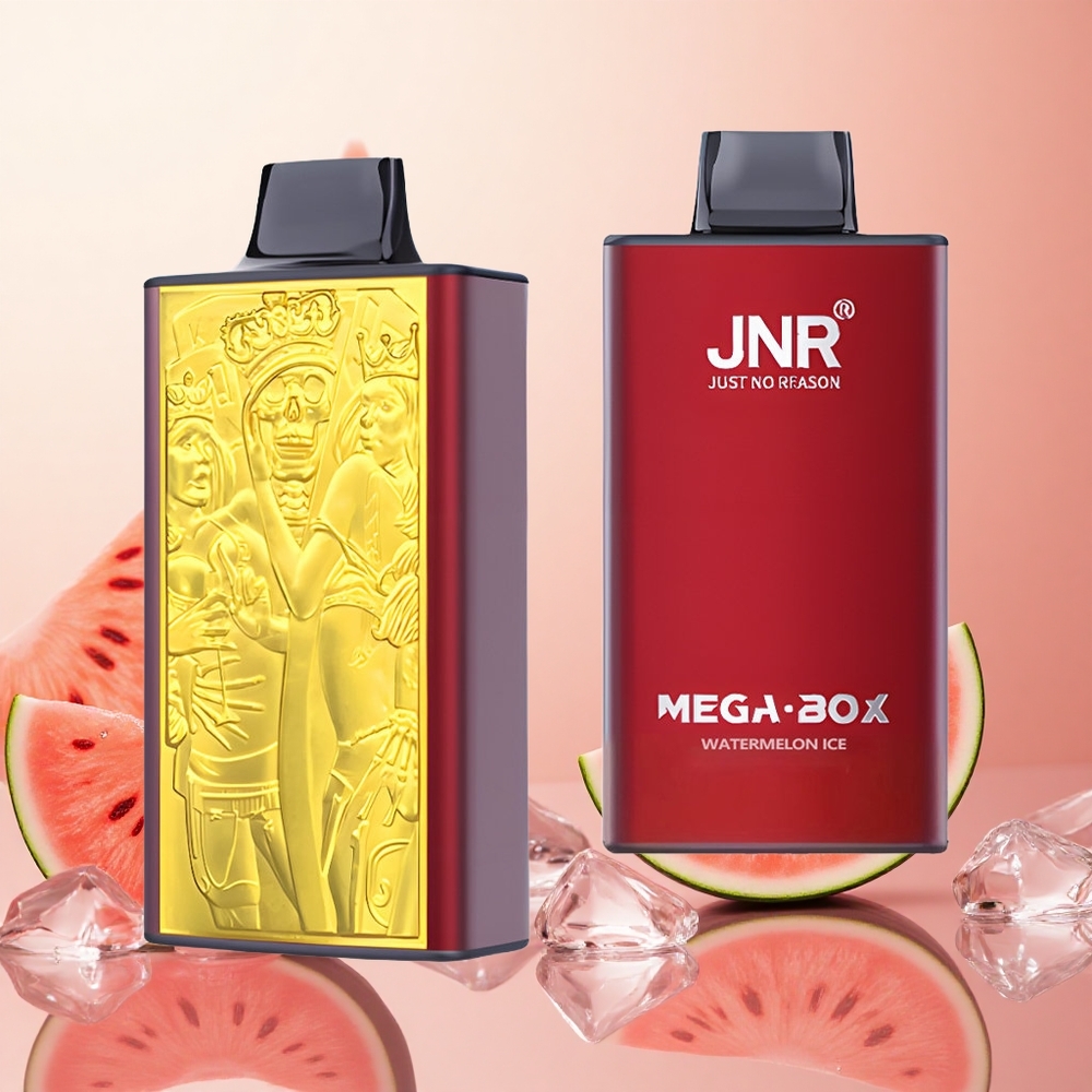 JNR Mega Box 25000 Puffs Sandía Helada Tipo-C Carga Rápida